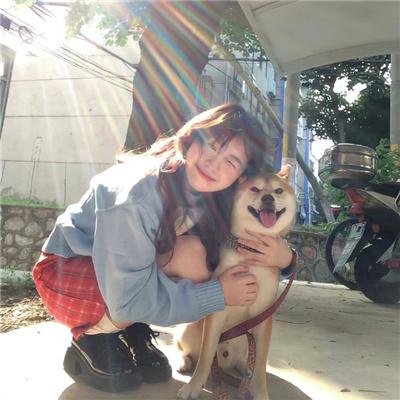 美女与猎犬 高清在线观看